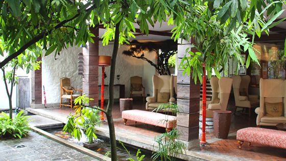 The indoor lounge beside Amber Poolside, armchairs and a daybed under a tree that grows through the roof.