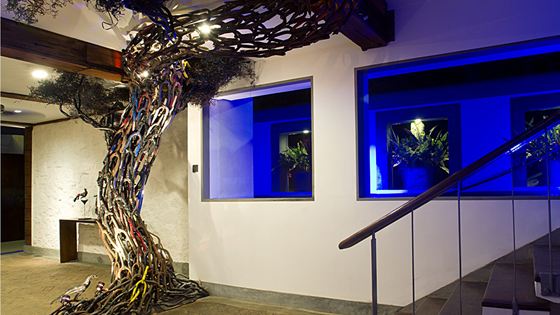 The tree sculpted from bicycle parts in the lobby at Colombo Court, its branches spreading across the ceiling above the stairs.