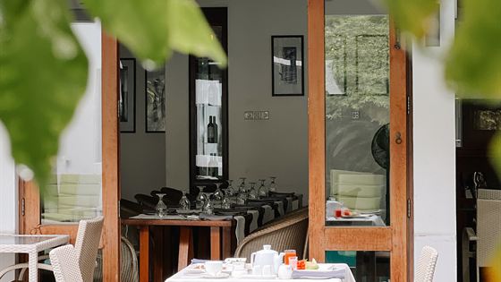 Breakfast laid on a white cloth beside the pool at Amber Poolside, under the trees.