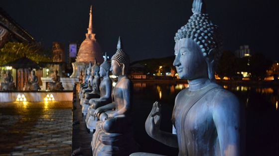 Statues of the Buddha lit at night beside the water at Gangaramaya Temple, Colombo, a lit stupa behind them.