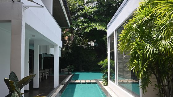 The pool at Colombo Court running between two white walls with dense planting either side and a city tower block above the roofline.