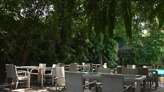 Tables under dense trees in the garden at Colombo Court, shaded at midday.