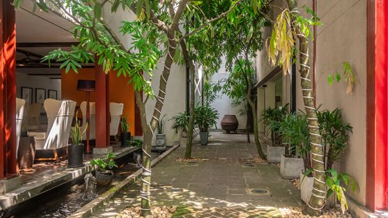 A planted walkway at Colombo Court with trees growing between orange and white walls.
