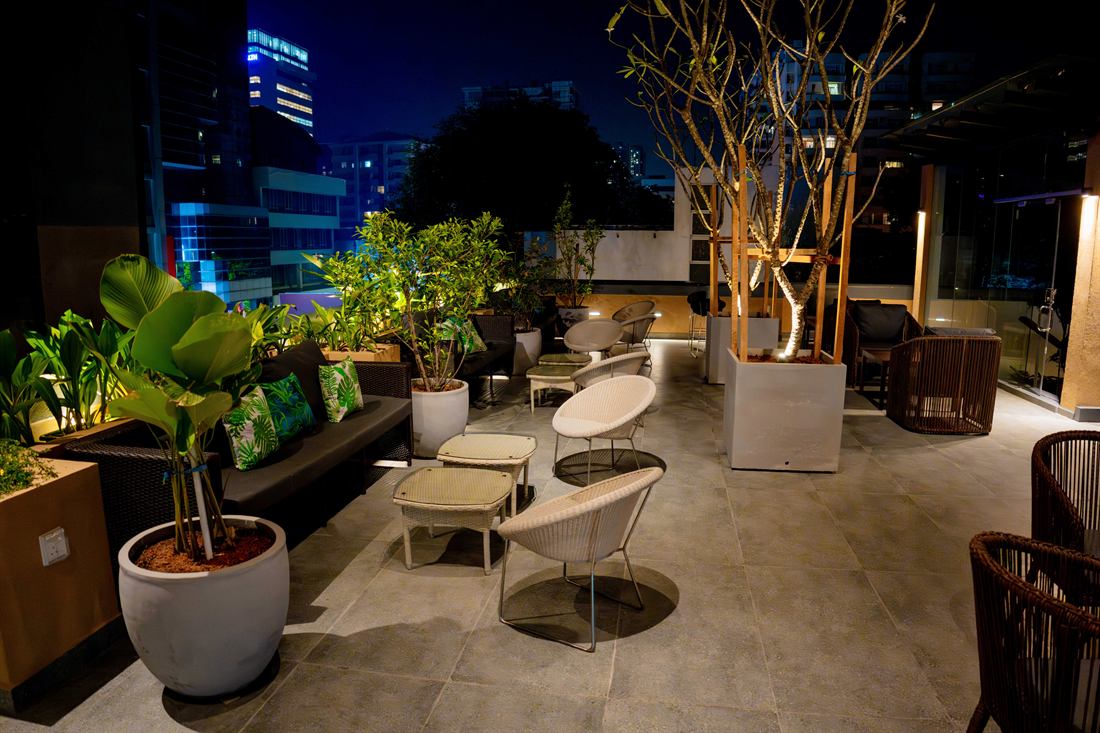 The rooftop after dark, lit trees in planters and the city beyond the rail.