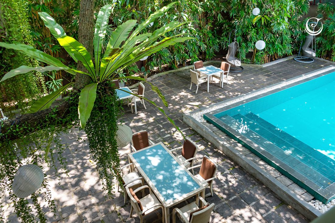 The pool by day, loungers and dense planting either side of it.