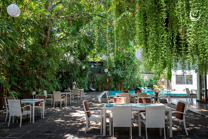 Tables under hanging greenery beside the pool at Amber Poolside.