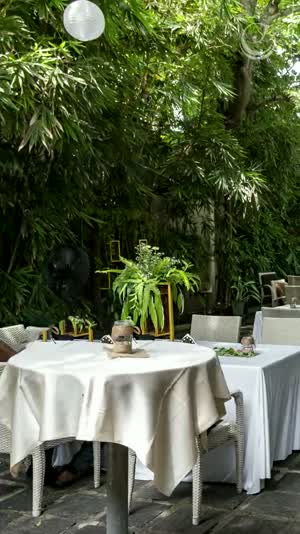 Tables set beneath the trees in the garden at Colombo Court, greenery rising on every side.