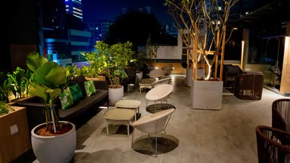 The rooftop after dark, lit trees in planters and the city beyond the rail.