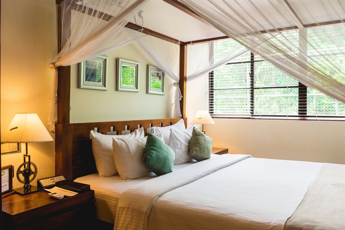 The Luxury Duplex Suite bedroom seen wide, the window and the greenery beyond it.